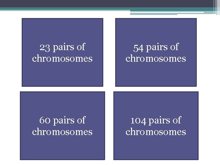 23 pairs of chromosomes 54 pairs of chromosomes 60 pairs of chromosomes 104 pairs