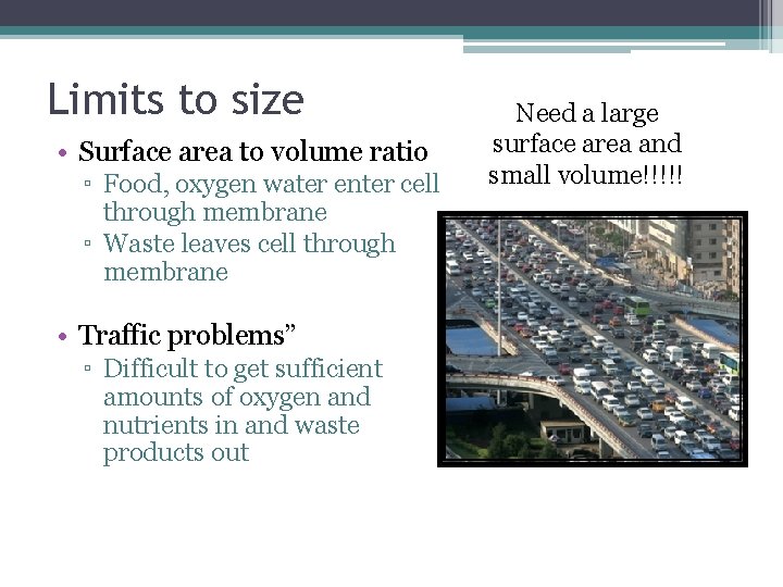 Limits to size • Surface area to volume ratio ▫ Food, oxygen water enter