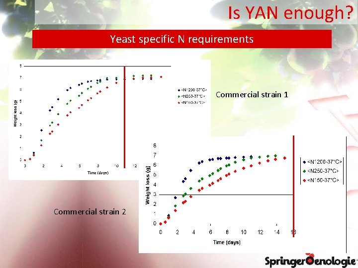 Is YAN enough? Yeast specific N requirements Commercial strain 1 Commercial strain 2 