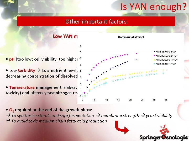 Is YAN enough? Other important factors Low YAN means low nutrient content Yes, BUT