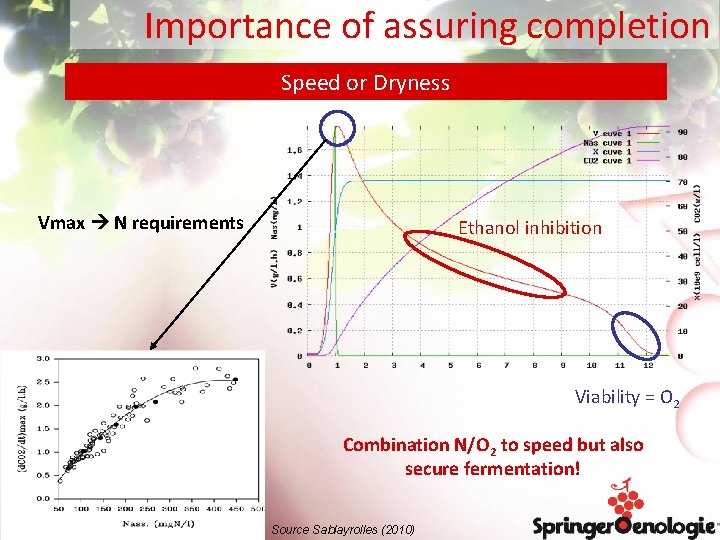 Importance of assuring completion Speed or Dryness Vmax N requirements Ethanol inhibition Viability =