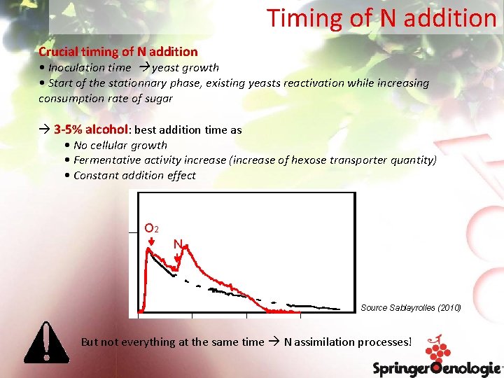 Timing of N addition Crucial timing of N addition • Inoculation time yeast growth