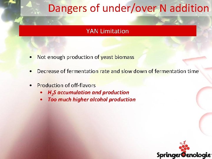 Dangers of under/over N addition YAN Limitation • Not enough production of yeast biomass