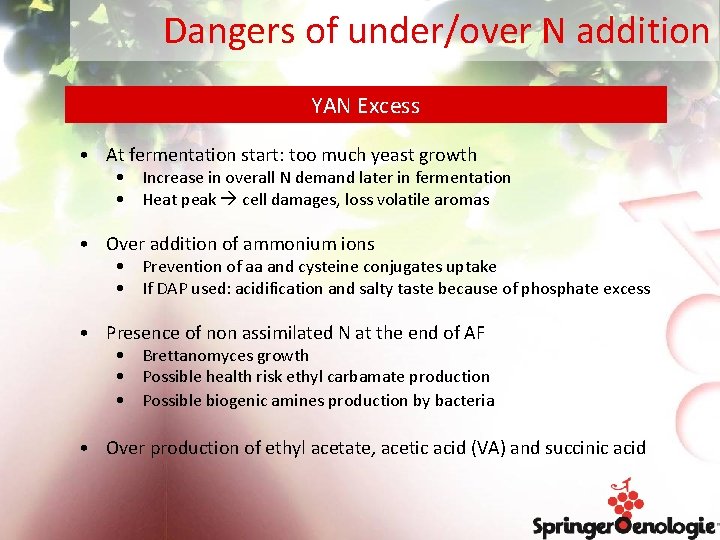 Dangers of under/over N addition YAN Excess • At fermentation start: too much yeast