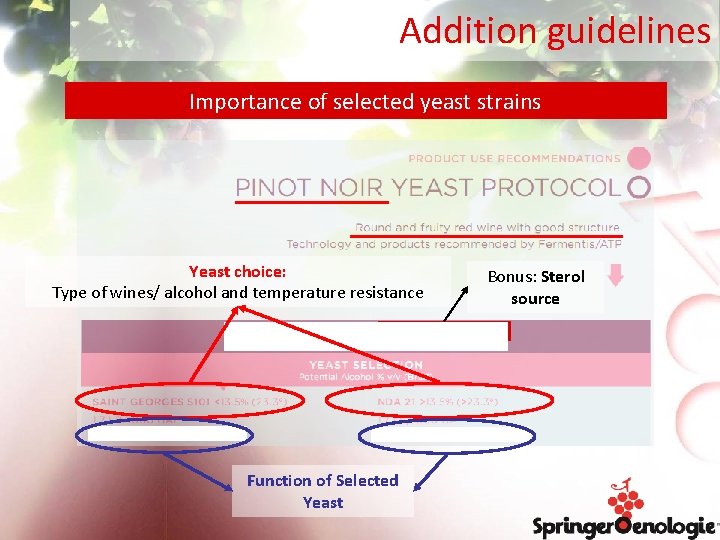 Addition guidelines Importance of selected yeast strains Yeast choice: Type of wines/ alcohol and