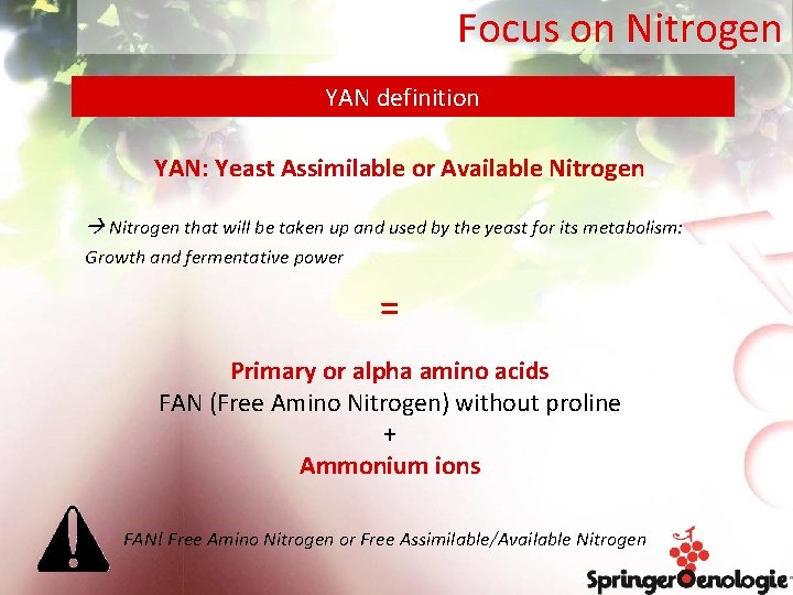 Focus on Nitrogen YAN definition YAN: Yeast Assimilable or Available Nitrogen that will be