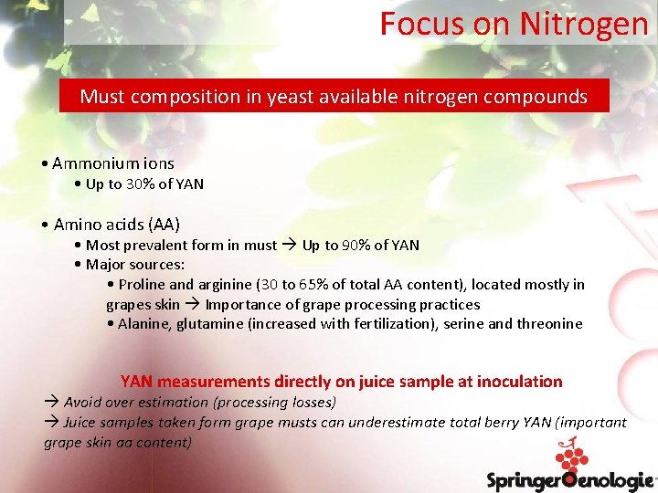 Focus on Nitrogen Must composition in yeast available nitrogen compounds • Ammonium ions •
