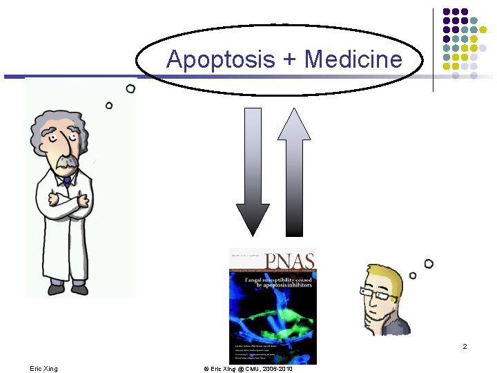 Apoptosis + Medicine 2 Eric Xing © Eric Xing @ CMU, 2006 -2010 