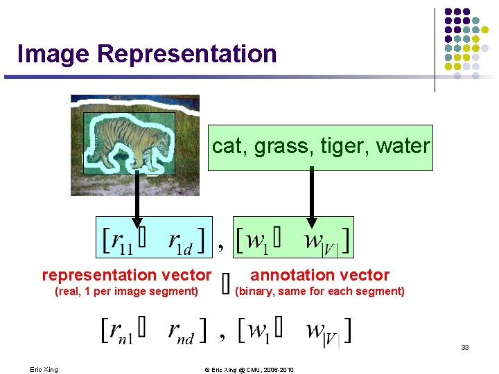 Image Representation cat, grass, tiger, water representation vector annotation vector (real, 1 per image