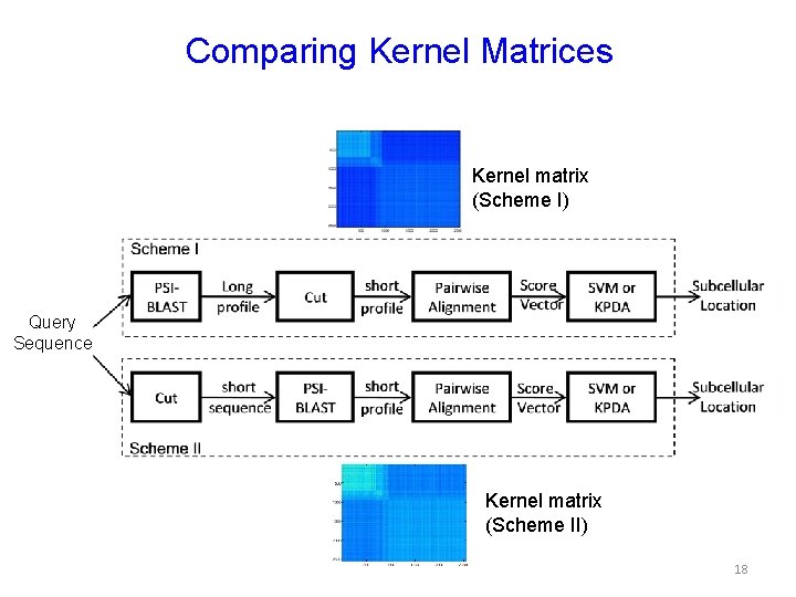 Comparing Kernel Matrices Kernel matrix (Scheme I) Query Sequence Kernel matrix (Scheme II) 18