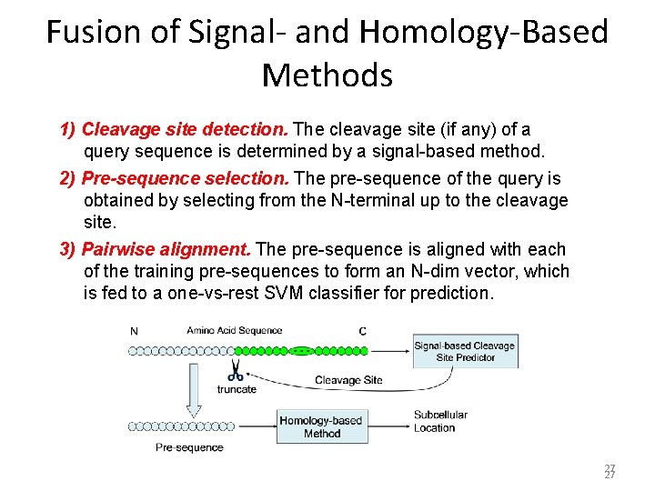 Fusion of Signal- and Homology-Based Methods 1) Cleavage site detection. The cleavage site (if