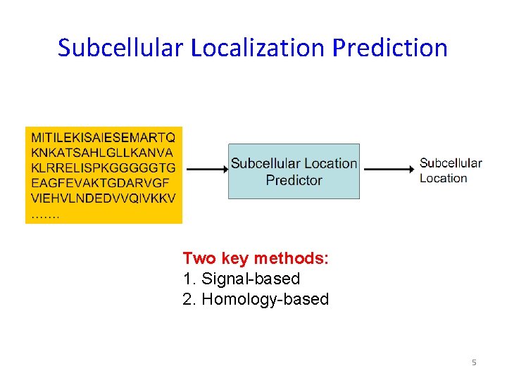 Subcellular Localization Prediction Two key methods: 1. Signal-based 2. Homology-based 5 