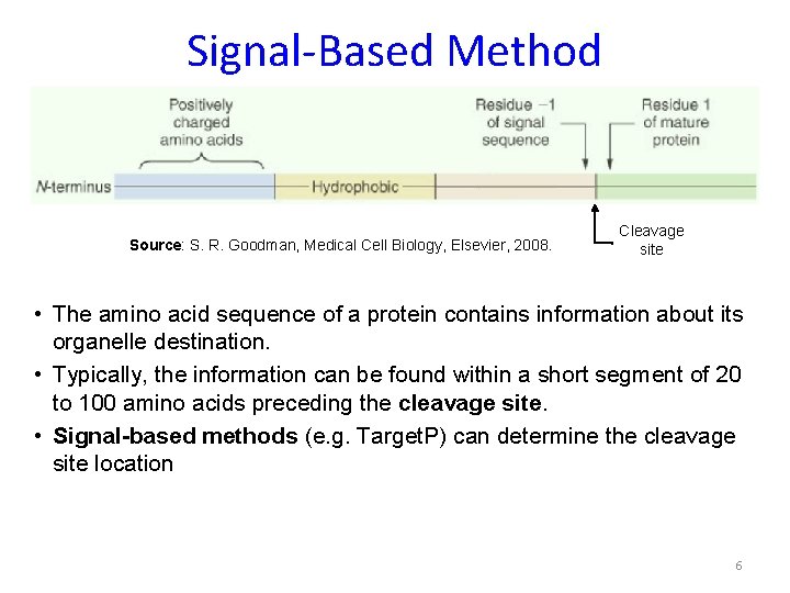 Signal-Based Method Source: S. R. Goodman, Medical Cell Biology, Elsevier, 2008. Cleavage site •