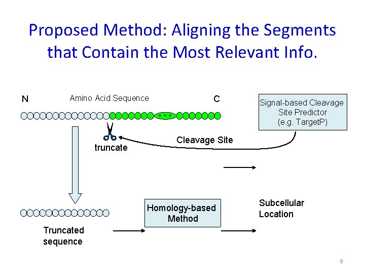 Proposed Method: Aligning the Segments that Contain the Most Relevant Info. N Amino Acid