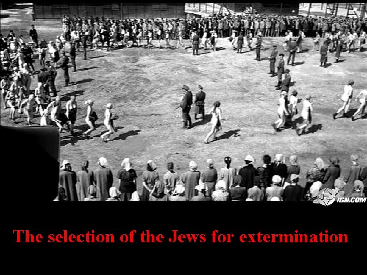 The selection of the Jews for extermination 