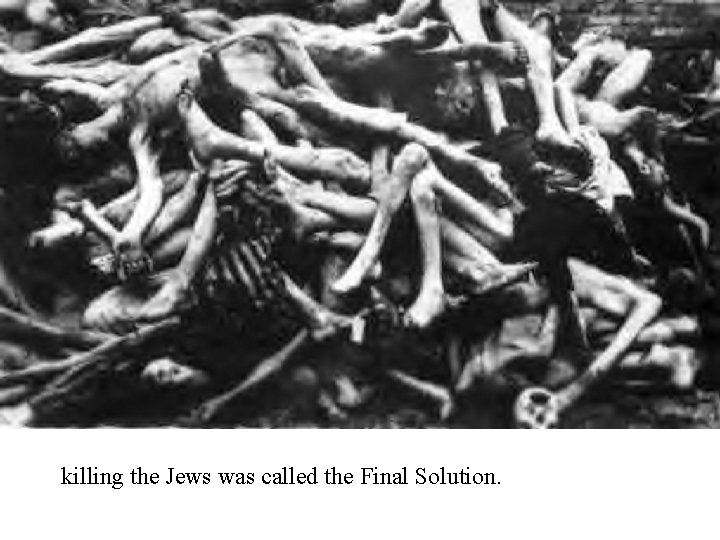 killing the Jews was called the Final Solution. 