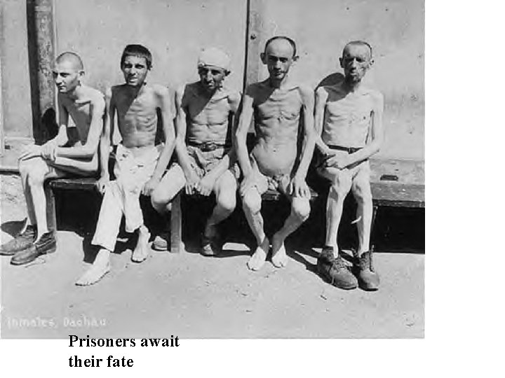 Prisoners await their fate 