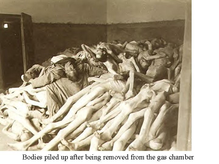 Bodies piled up after being removed from the gas chamber 