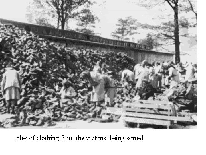 Piles of clothing from the victims being sorted 