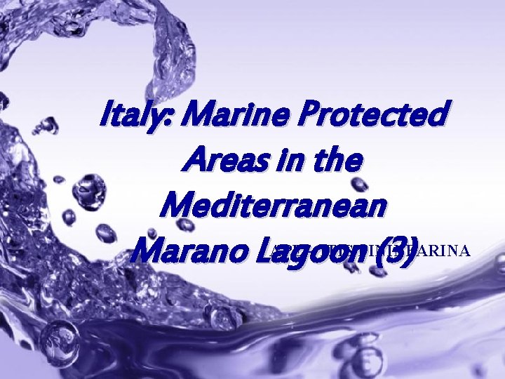 Italy: Marine Protected Areas in the Mediterranean APE – ITIS PININFARINA Marano Lagoon (3)