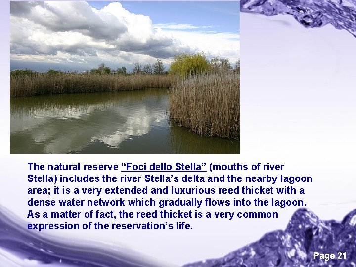 The natural reserve “Foci dello Stella” (mouths of river Stella) includes the river Stella’s