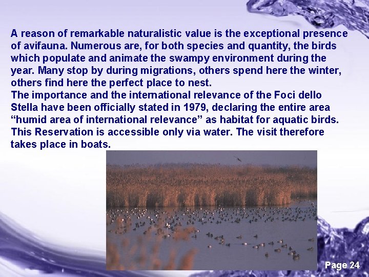 A reason of remarkable naturalistic value is the exceptional presence of avifauna. Numerous are,