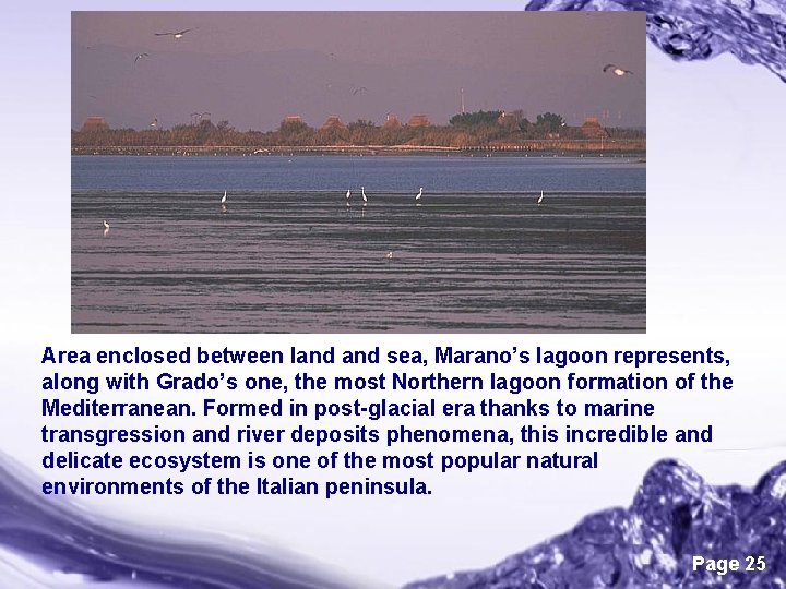 Area enclosed between land sea, Marano’s lagoon represents, along with Grado’s one, the most