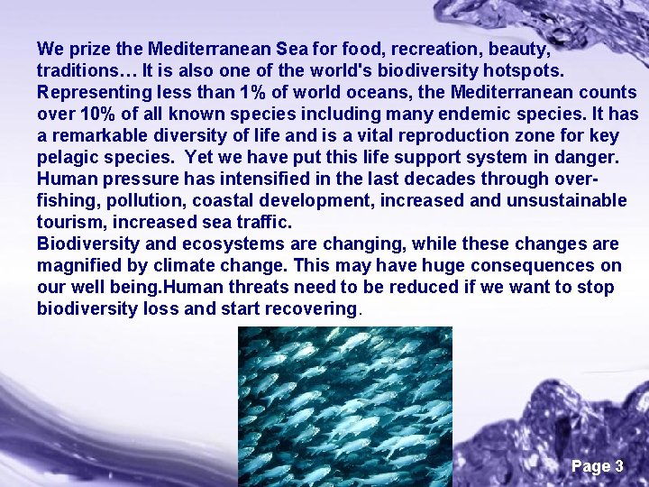 We prize the Mediterranean Sea for food, recreation, beauty, traditions… It is also one