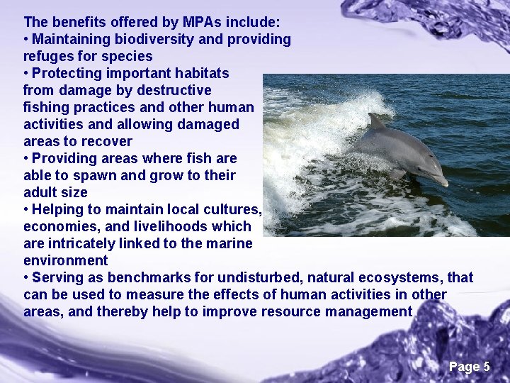 The benefits offered by MPAs include: • Maintaining biodiversity and providing refuges for species