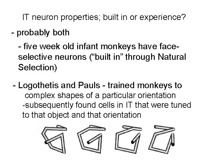 IT neuron properties; built in or experience? - probably both - five week old