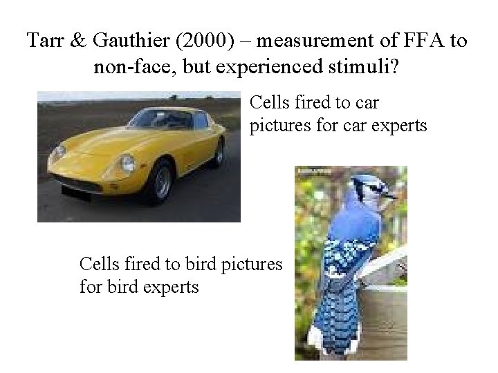 Tarr & Gauthier (2000) – measurement of FFA to non-face, but experienced stimuli? Cells