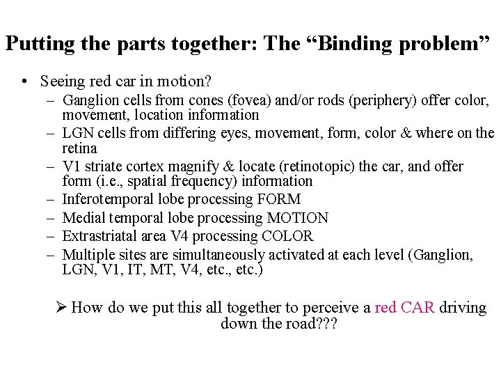 Putting the parts together: The “Binding problem” • Seeing red car in motion? –