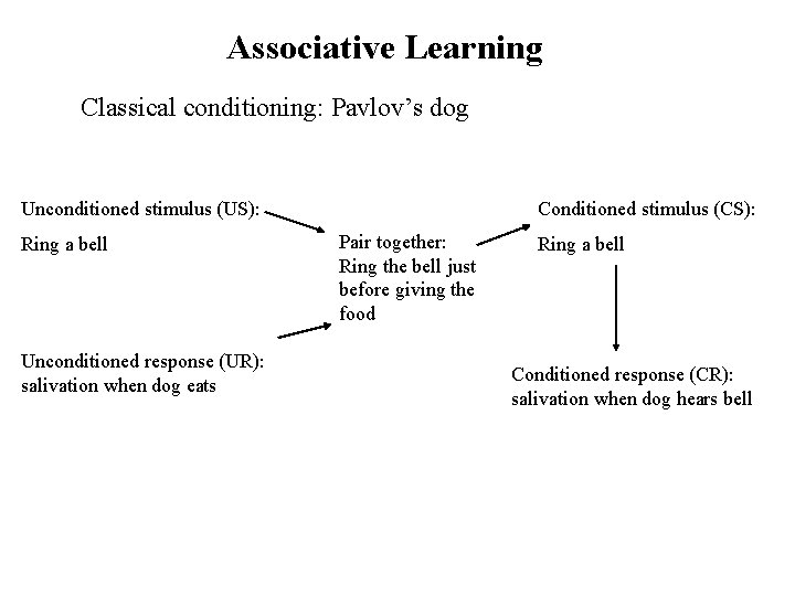 Associative Learning Classical conditioning: Pavlov’s dog Unconditioned stimulus (US): Ring a bell Unconditioned response