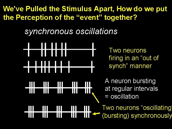 We've Pulled the Stimulus Apart, How do we put the Perception of the “event”