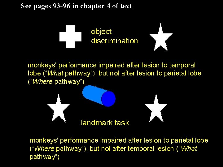 See pages 93 -96 in chapter 4 of text object discrimination monkeys' performance impaired