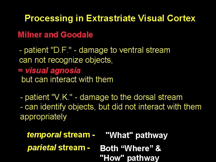 Processing in Extrastriate Visual Cortex Milner and Goodale - patient "D. F. " -