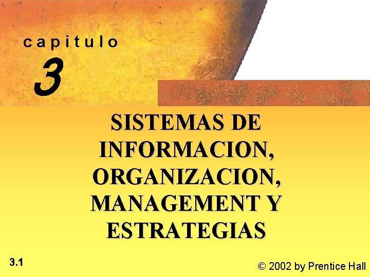 capitulo 3 SISTEMAS DE INFORMACION, ORGANIZACION, MANAGEMENT Y ESTRATEGIAS 3. 1 © 2002 by