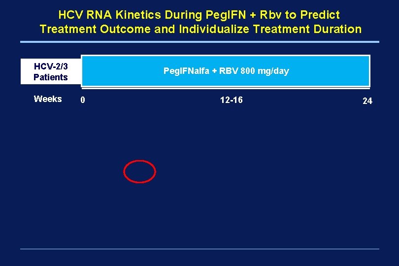 HCV RNA Kinetics During Peg. IFN + Rbv to Predict Treatment Outcome and Individualize