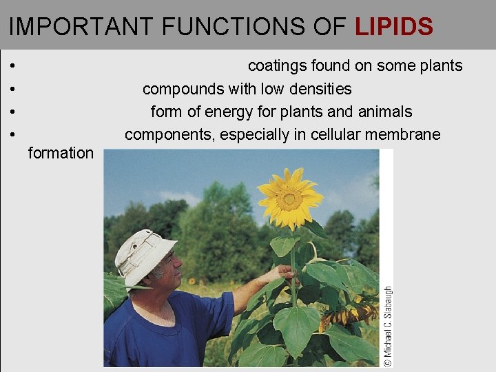 IMPORTANT FUNCTIONS OF LIPIDS • • coatings found on some plants compounds with low IMPORTANT FUNCTIONS OF LIPIDS • • coatings found on some plants compounds with low