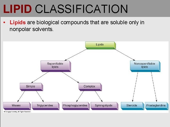 LIPID CLASSIFICATION • Lipids are biological compounds that are soluble only in nonpolar solvents. LIPID CLASSIFICATION • Lipids are biological compounds that are soluble only in nonpolar solvents.