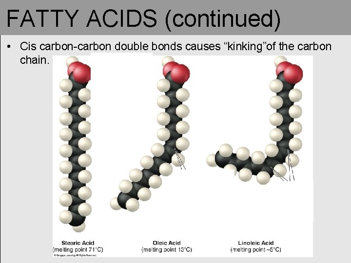 FATTY ACIDS (continued) • Cis carbon-carbon double bonds causes “kinking”of the carbon chain. FATTY ACIDS (continued) • Cis carbon-carbon double bonds causes “kinking”of the carbon chain.