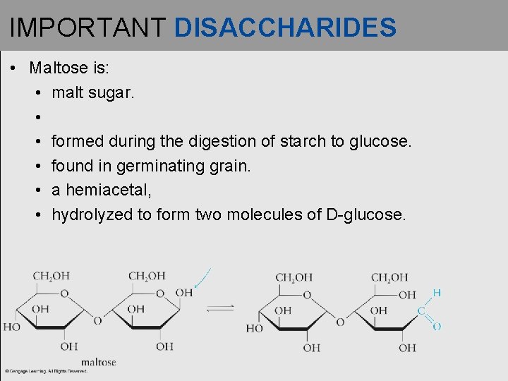 IMPORTANT DISACCHARIDES • Maltose is: • malt sugar. • • formed during the digestion IMPORTANT DISACCHARIDES • Maltose is: • malt sugar. • • formed during the digestion