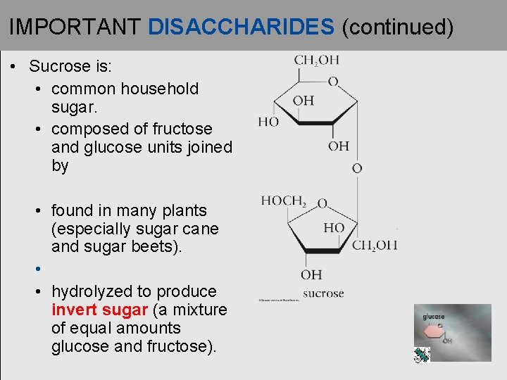IMPORTANT DISACCHARIDES (continued) • Sucrose is: • common household sugar. • composed of fructose IMPORTANT DISACCHARIDES (continued) • Sucrose is: • common household sugar. • composed of fructose