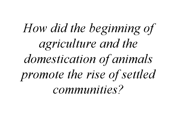 How did the beginning of agriculture and the domestication of animals promote the rise