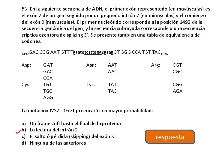 53. En la siguiente secuencia de ADN, el primer exón representado (en mayúsculas) es