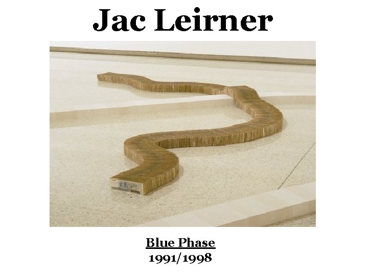 Jac Leirner Blue Phase 1991/1998 
