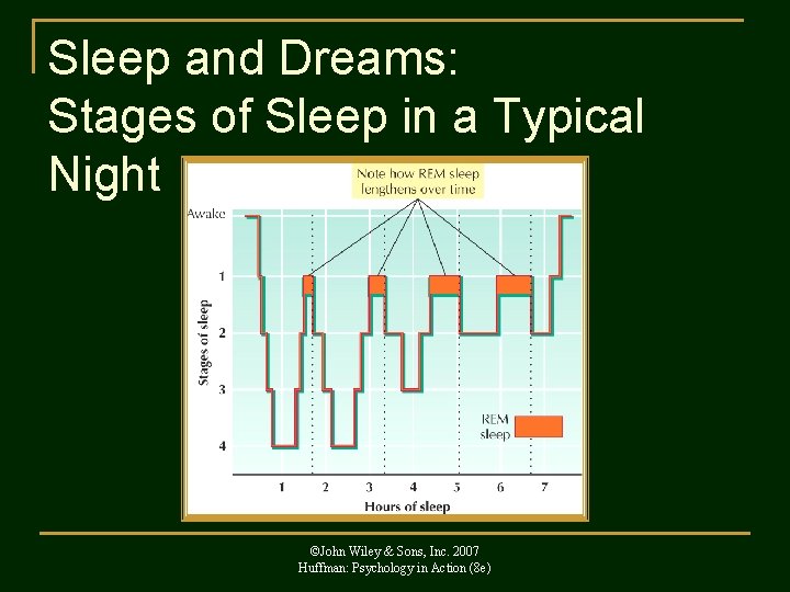 Sleep and Dreams: Stages of Sleep in a Typical Night ©John Wiley & Sons,