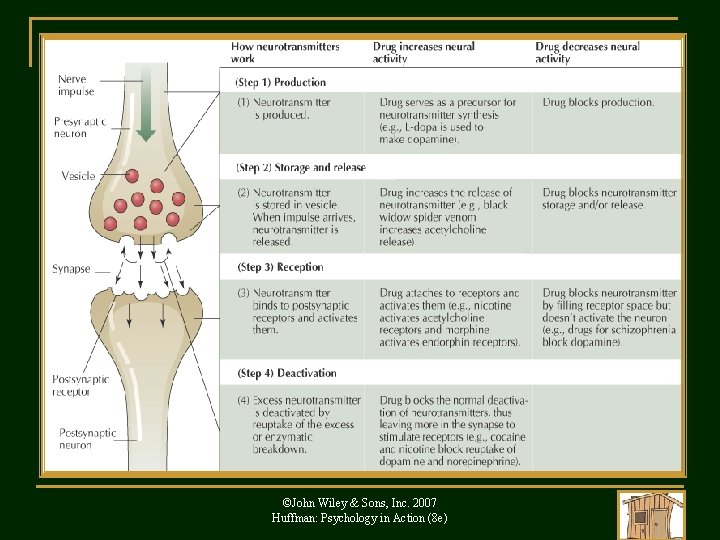 ©John Wiley & Sons, Inc. 2007 Huffman: Psychology in Action (8 e) 