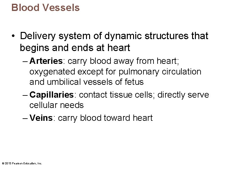 Blood Vessels • Delivery system of dynamic structures that begins and ends at heart