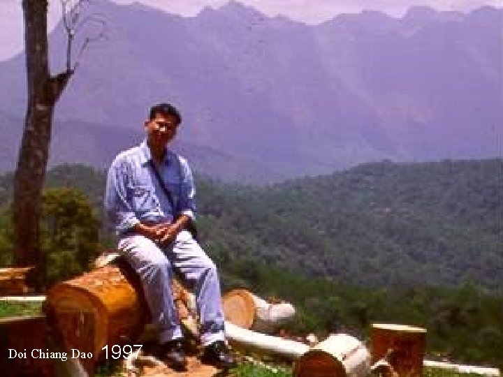 Doi Chiang Dao 1997 